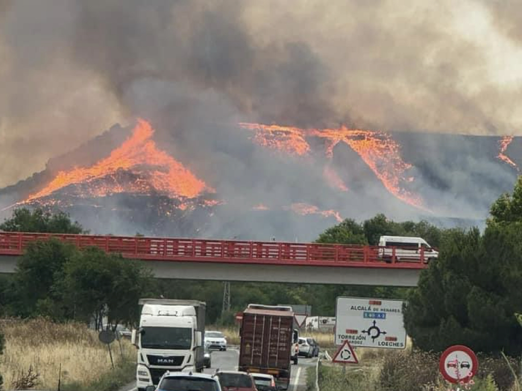 Un incendio forestal arrasa el Cerro del Viso entre Alcalá de Henares  y Torres de la Alameda